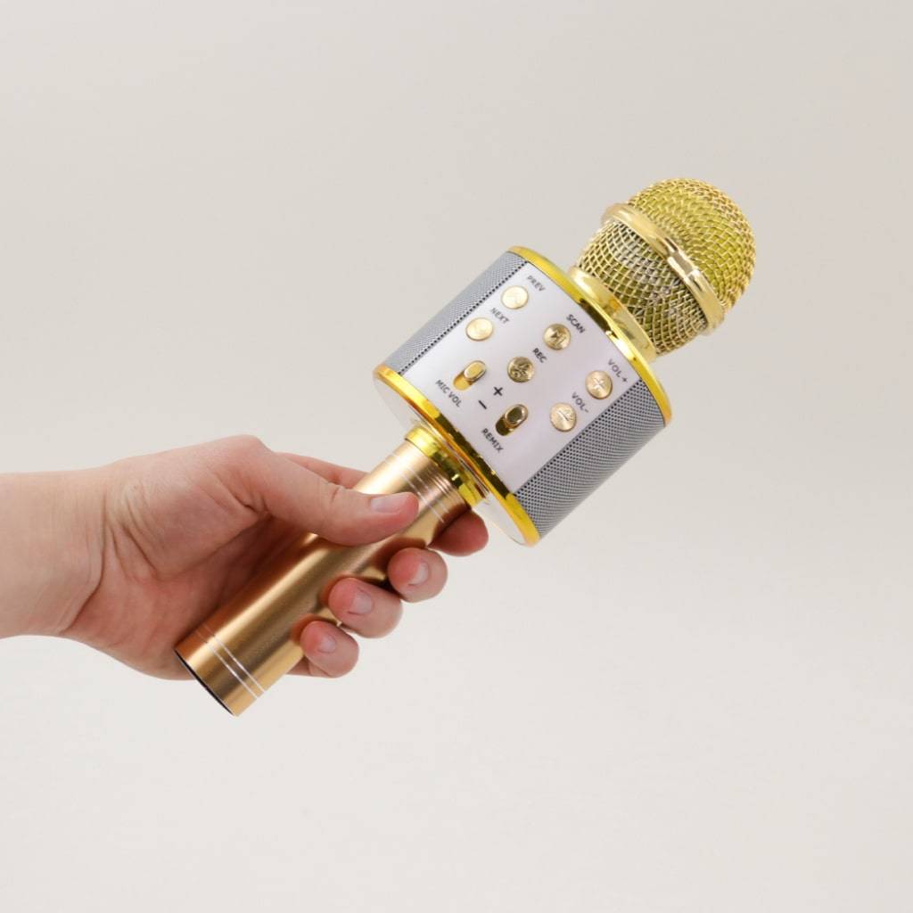 Wireless Karaoke Microphone Best Sellers Wireless Karaoke Microphone Best Sellers