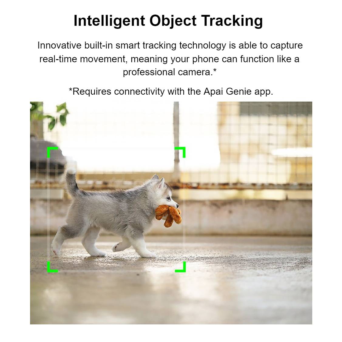 Robot Cameraman Car Accessories Robot Cameraman Car Accessories