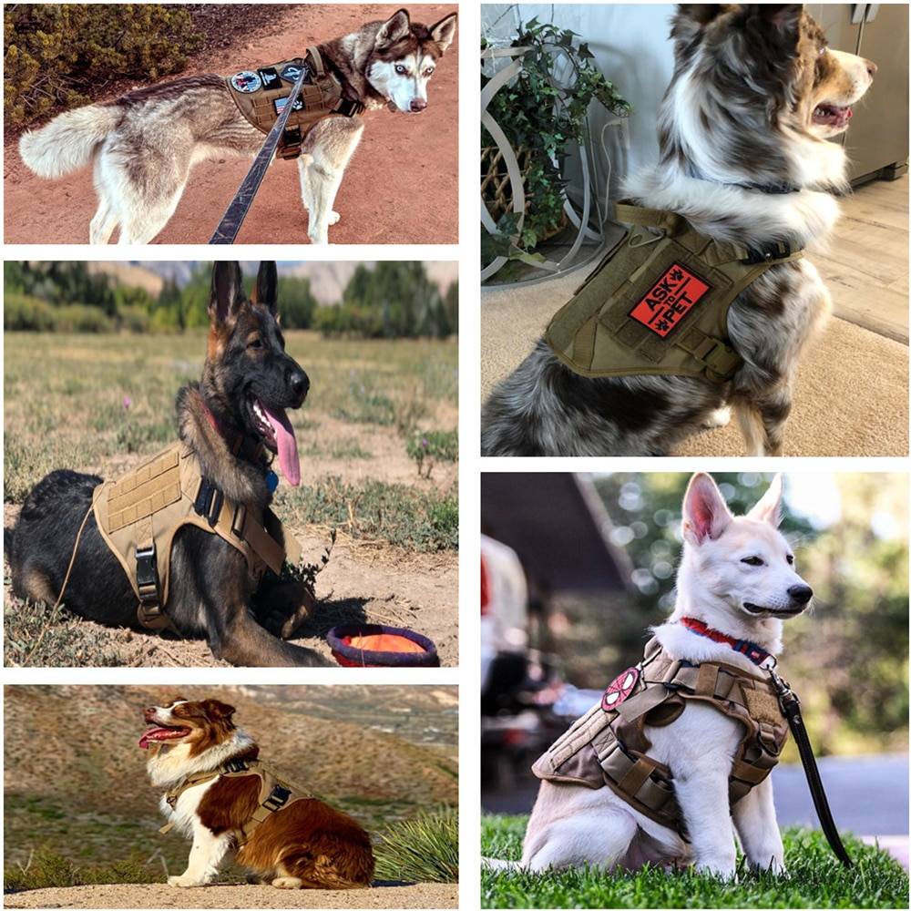 Military Big Dog Harness Pet German Shepherd K9 Malinois Training Vest Tactical Dog Harness and Leash Set For Dogs Color : Brown Harness|Black Harness|Brown Set|Black Set|CP Full Set|Green Set|Camouflage Set|Green Harness|Camouflage Harness|Gray Camo Harness|GrayCamo Harness Set|Black Full Set|Green Full Set|Brown Harness Bag|GrayCamo Harness Bag|Brown Camo Harness|Brown Camo Set|CP Harness Bag|Green Harness Bag|Brown Camo Bag|Black Harness Bag|Brown Camo Full Set|Gray Camo Full Set|Brown Full Set Military Big Dog Harness Pet German Shepherd K9 Malinois Training Vest Tactical Dog Harness and Leash Set For Dogs Color : Brown Harness|Black Harness|Brown Set|Black Set|CP Full Set|Green Set|Camouflage Set|Green Harness|Camouflage Harness|Gray Camo Harness|GrayCamo Harness Set|Black Full Set|Green Full Set|Brown Harness Bag|GrayCamo Harness Bag|Brown Camo Harness|Brown Camo Set|CP Harness Bag|Green Harness Bag|Brown Camo Bag|Black Harness Bag|Brown Camo Full Set|Gray Camo Full Set|Brown Full Set
